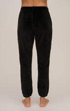Load image into Gallery viewer, Velour Jogger Pants
