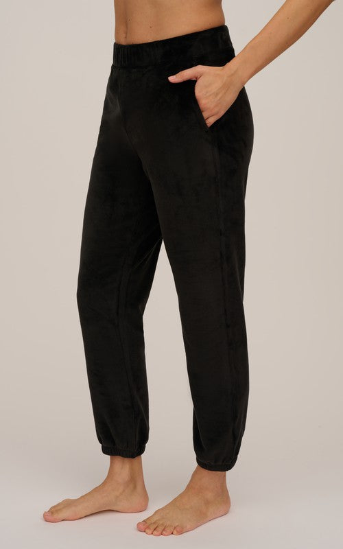 Velour Jogger Pants